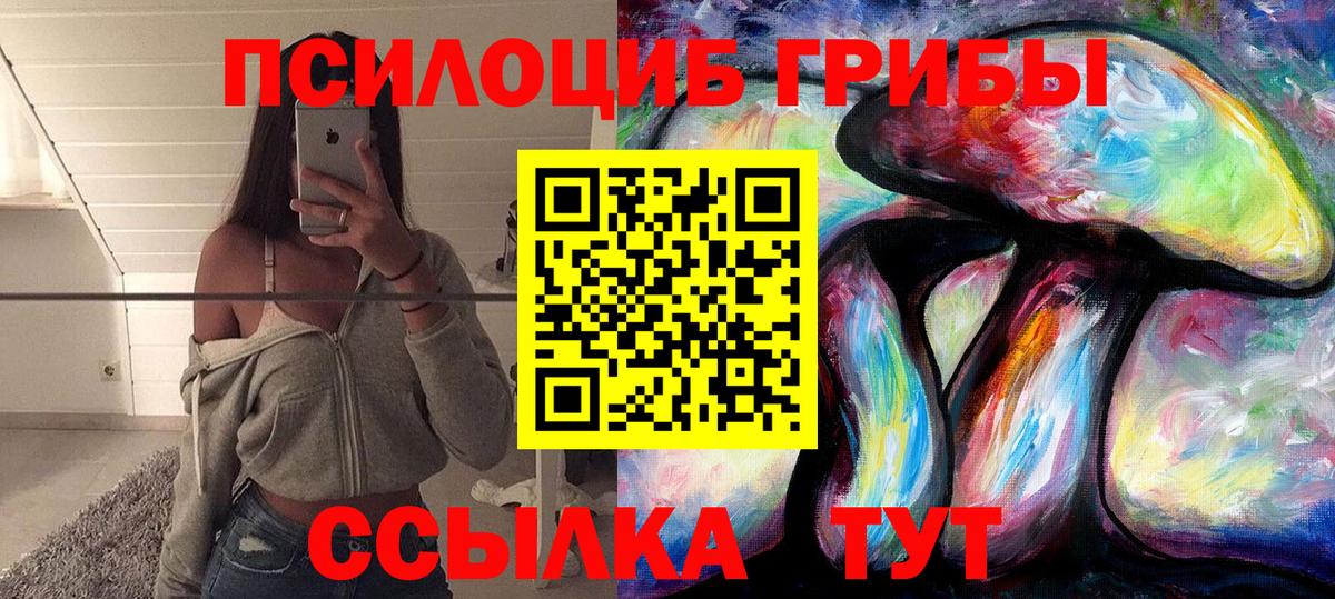 Галлюциногенные грибы GOLDEN TEACHER  где купить   Тайшет  Вход с VPN 